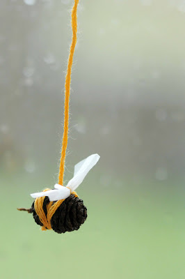 Alder Bees 1
