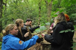 ITC Level 3 Forest School Practitioner Training (Gorse) @ Grizedale, Cumbria
