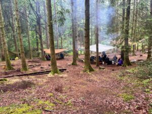 ITC Level 3 Forest School Practitioner Training (Shield Fern) @ Grizedale, Cumbria
