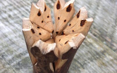 Skulk of foxes- a whittling project.