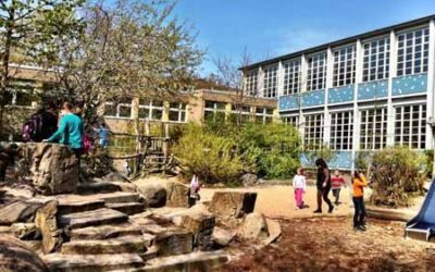 Green makes school