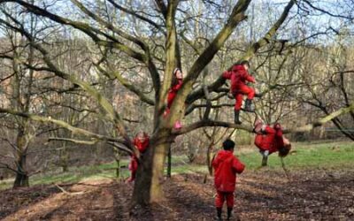 ‘I climbed right up to here’ or Risk and Challenge in a Forest School