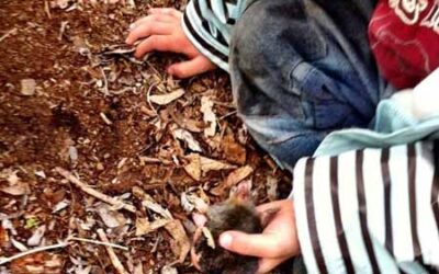 WaKiGa – out in nature with a Waldkindergarten